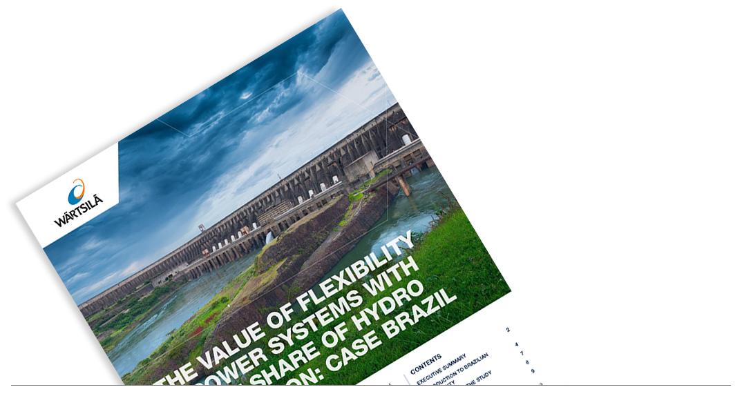 The value of flexibility in power systems with a high share of hydro generation: Case Brazil