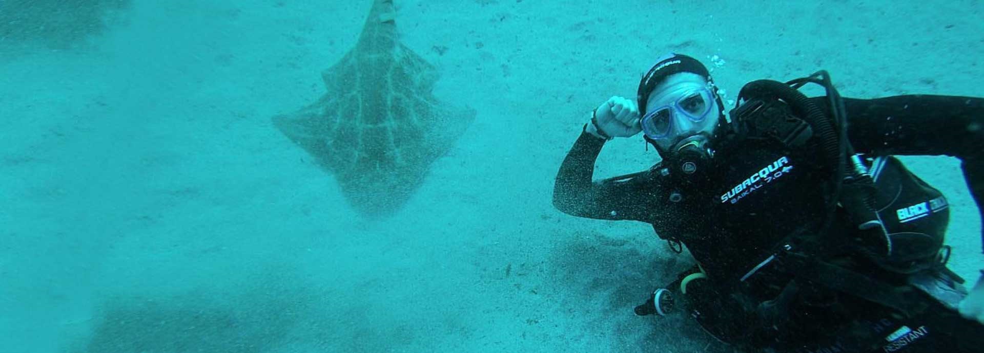 Alejandro Polo Navarro