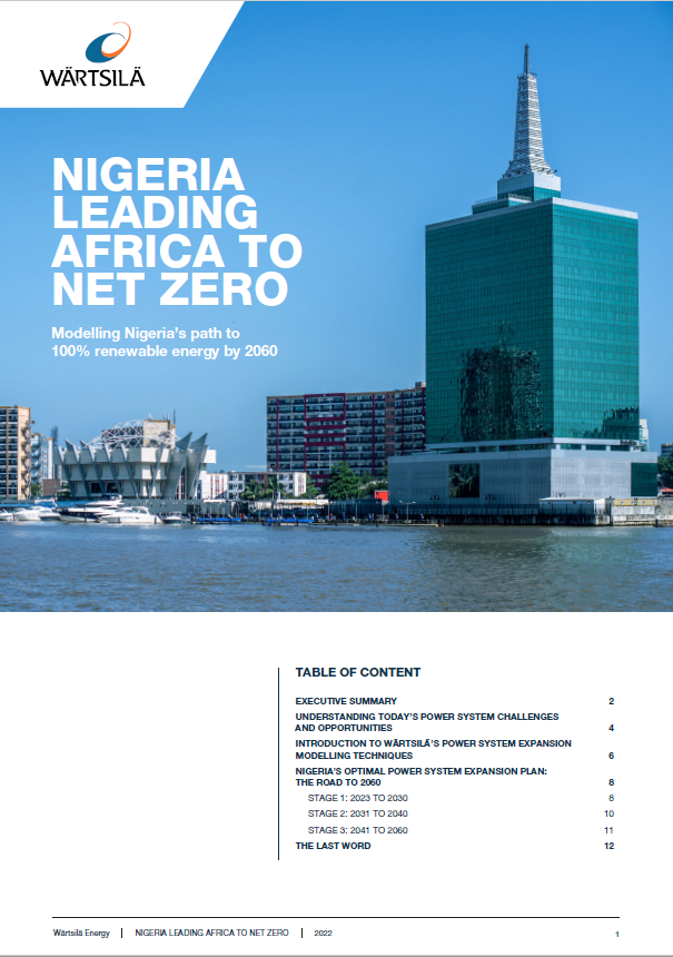 Image of the white paper - Nigeria leading Africa to net zero.