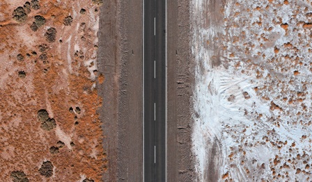 How nature is changing the future of work