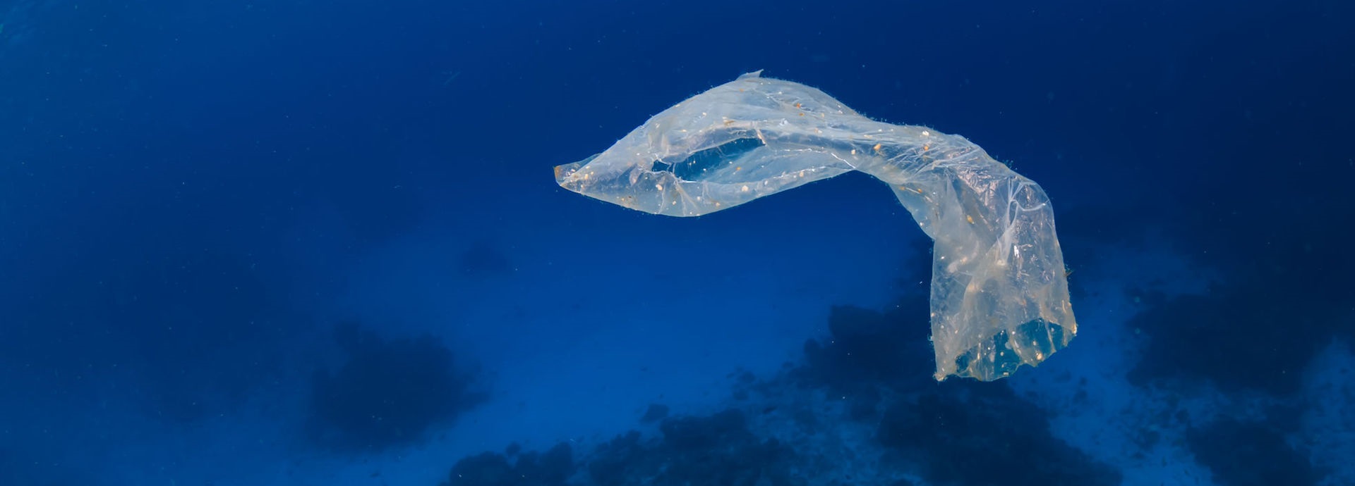 Unlocking the potential of the circular economy by reducing waste