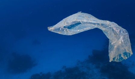 Unlocking the potential of the circular economy by reducing waste