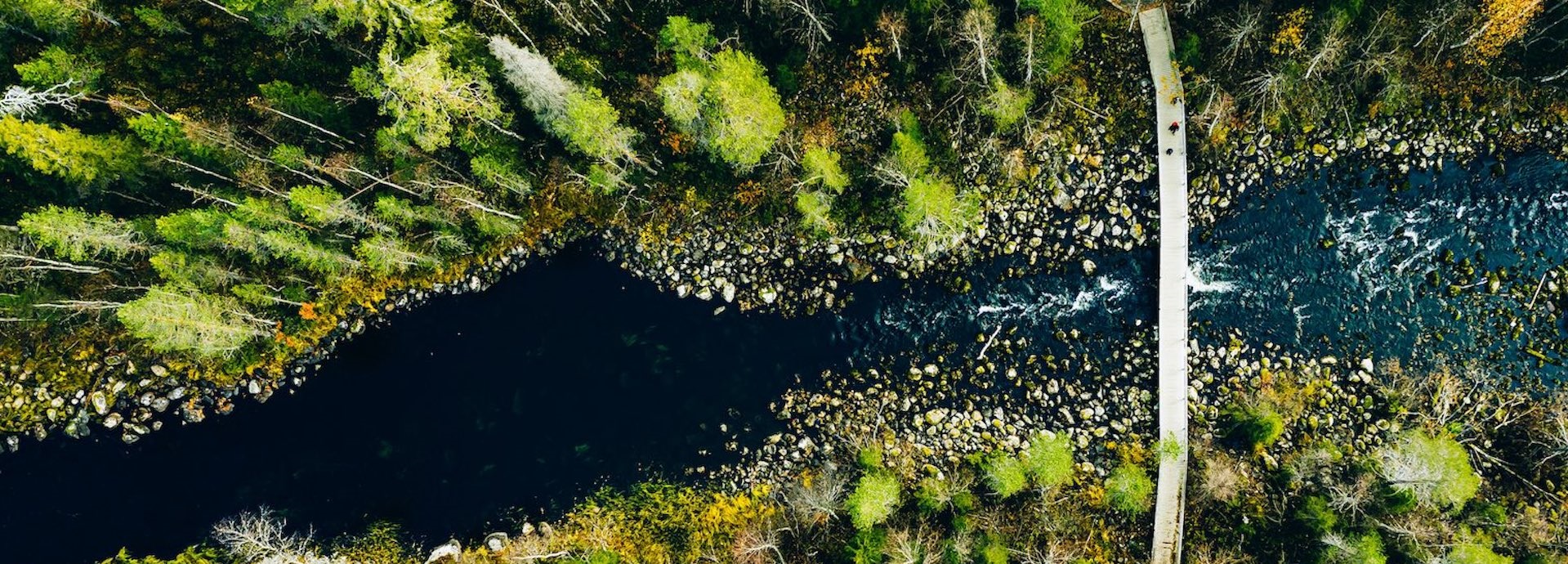 How can exchanging debt for nature save our planet?