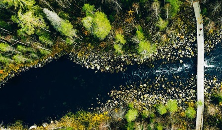 How can exchanging debt for nature save our planet?