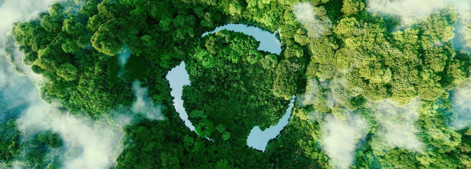 clouds, rainforest, recycle