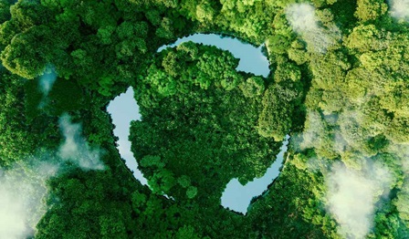 clouds, rainforest, recycle