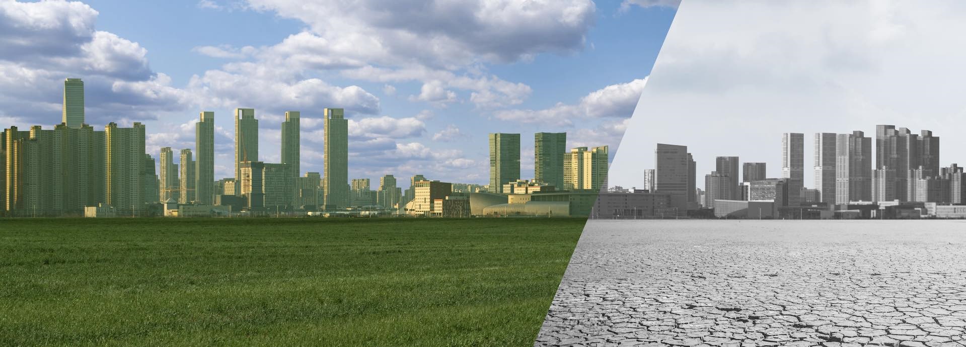 city, dry earth, green city