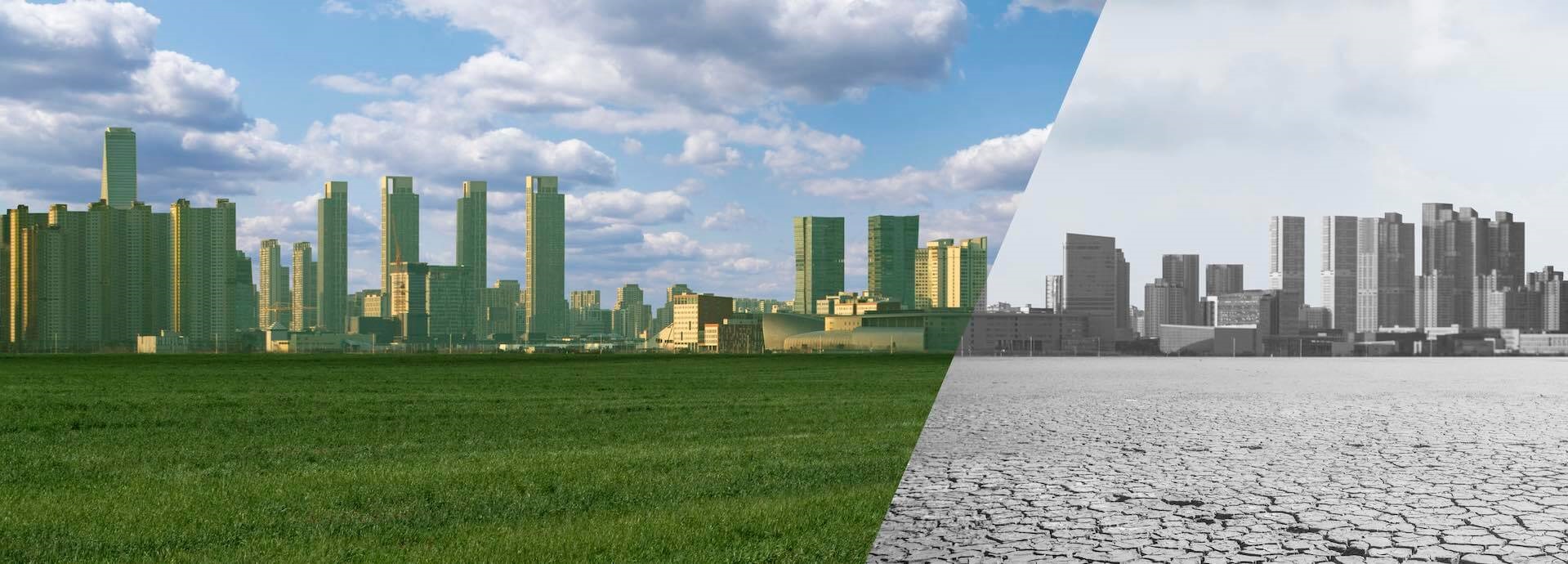 city, dry earth, green city
