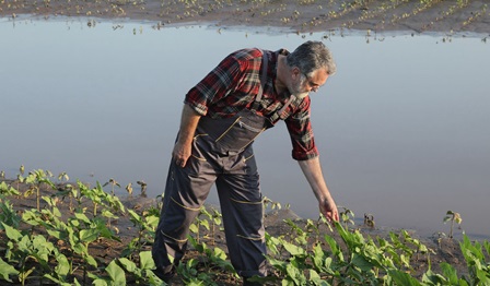 Farmer, agriculture