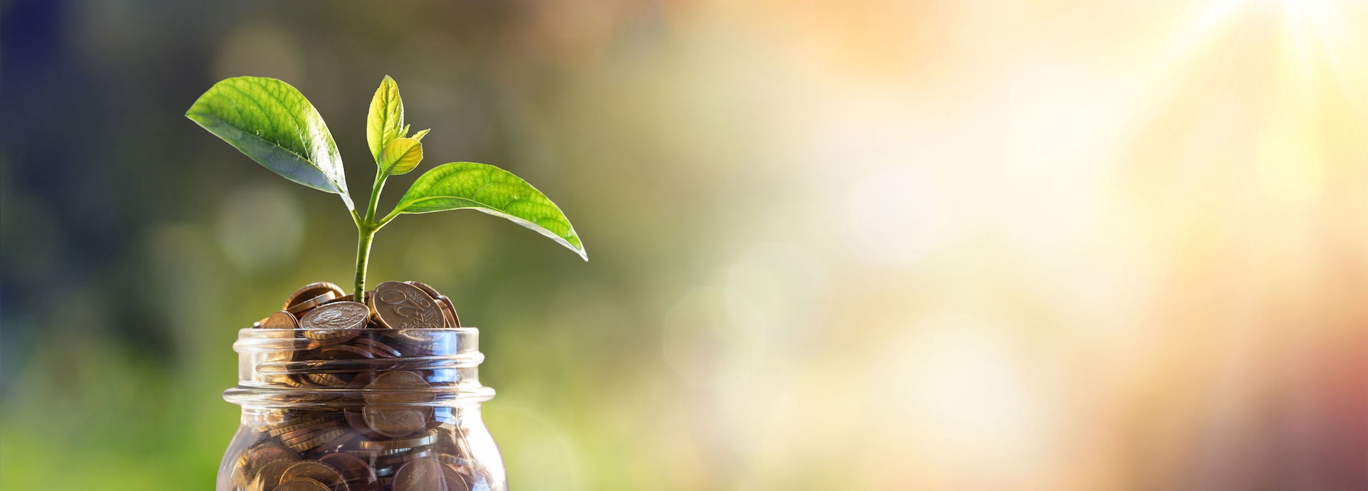 Green, money, investment, green investment