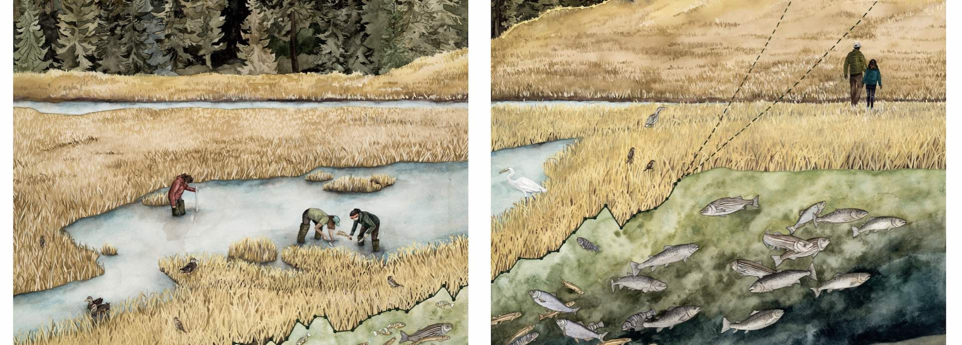 art drawing, people on a rice field, yellow field, fish