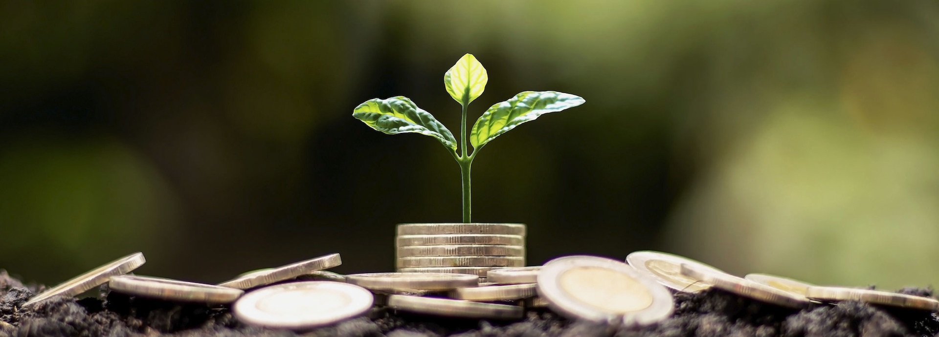 finance, investment, green finance, money