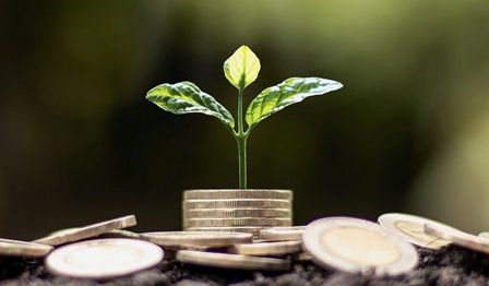 finance, investment, green finance, money