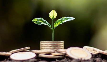 finance, investment, green finance, money