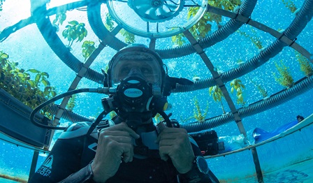 Underwater, farm, diver, ocean, plants, Ocean Reef