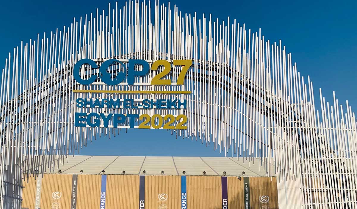 Wartsila Energy - Insights - COP27: Progress and Challenges in the Energy Transition