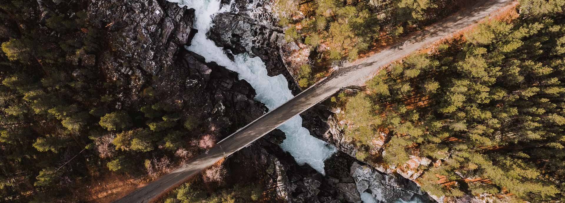 Wärtsilä Insights banner image - Rapidly replacing coal is Europe’s best bet