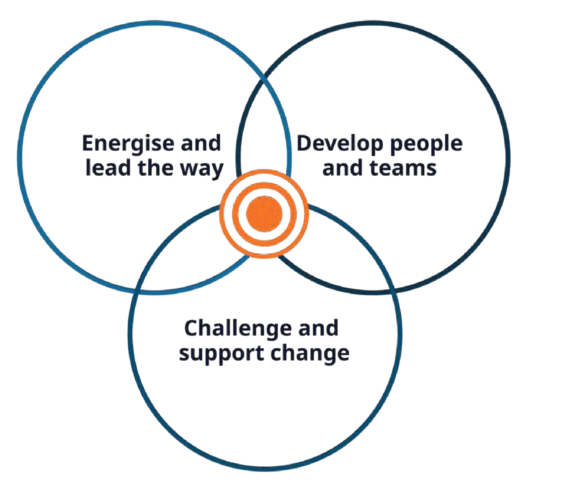 leadership-principles-visualisation