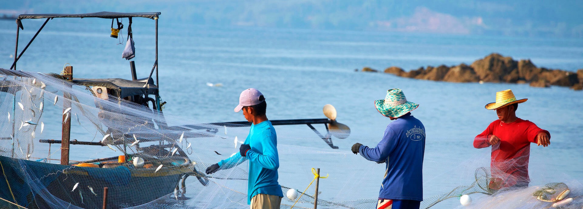 world oceans day