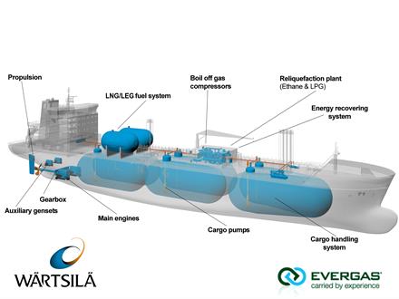 Fig. 2 - Schematic of the Evergas Dragon Series 27,500 cbm multi-gas carrier.