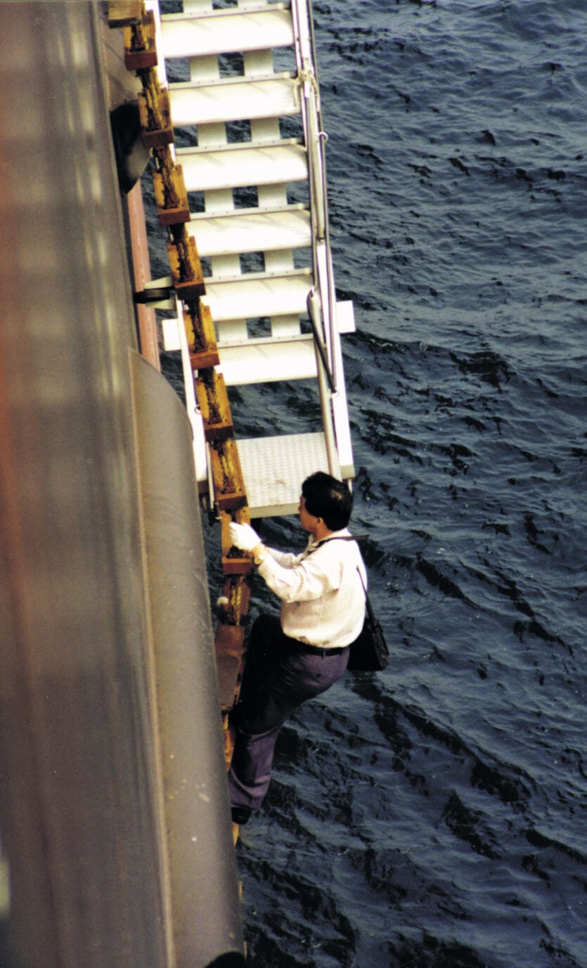 Pilot ladder
