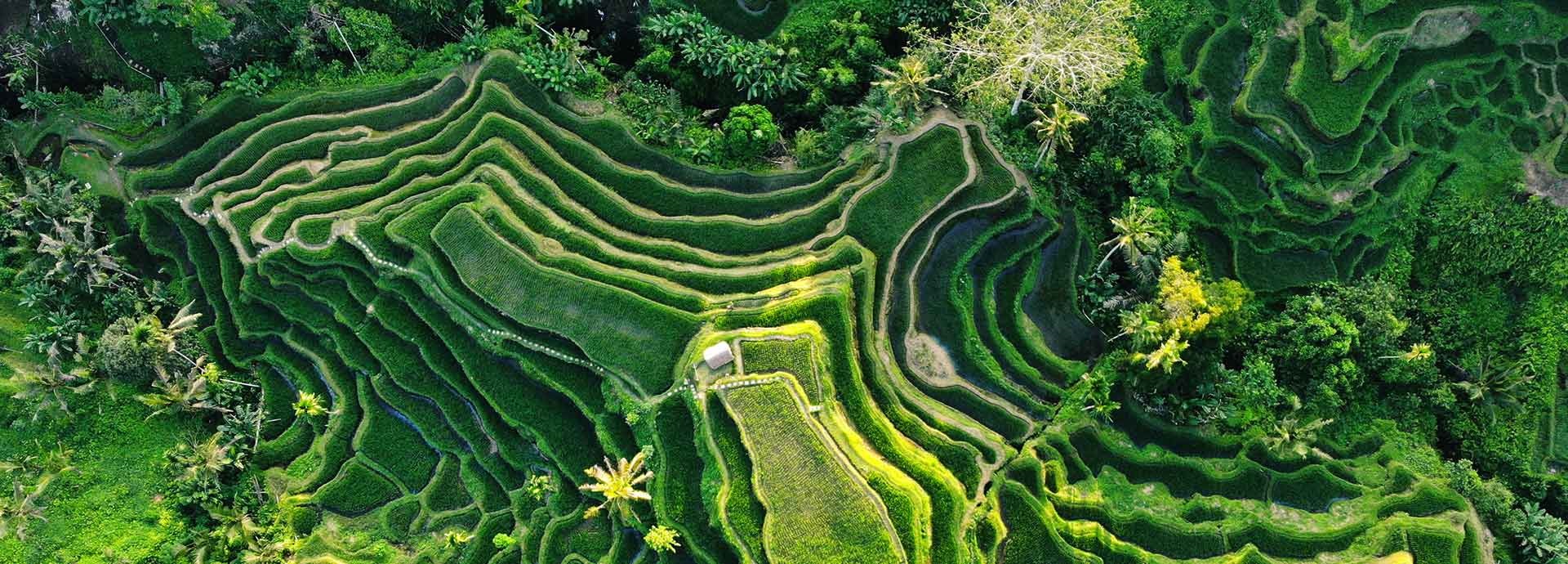 Rethinking energy southeast asia