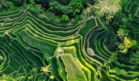 Rethinking energy southeast asia