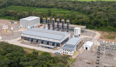 Wärtsilä flexible gas engine.