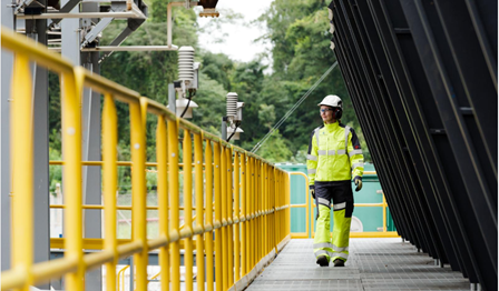 Markthintergrund in Deutschland