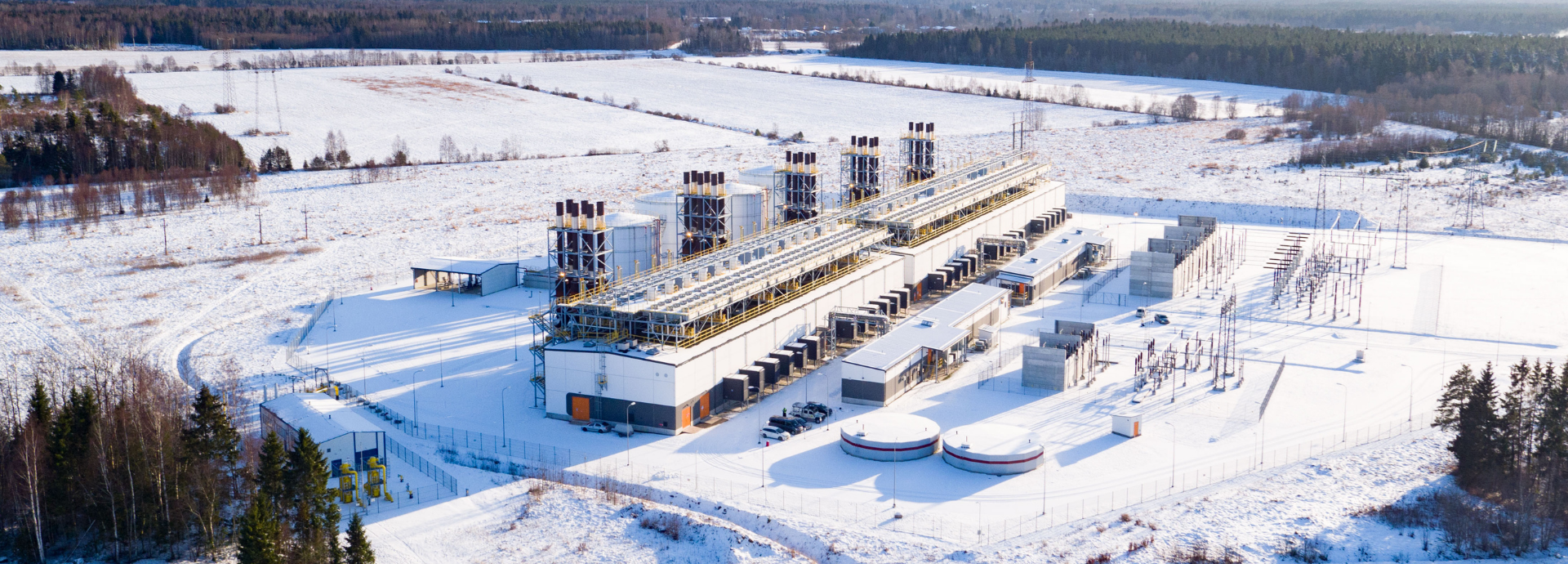 Kiisa day_1920 x 690 px