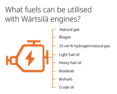 Image showing what fuels can be utilised with Wärtsilä engines: gas, 25 vol-% hydrogen/natural gas, light fuel oil, heavy fuel oil, biodiesel, biofuels and crude oil.