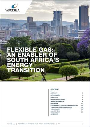 White paper about Flexible Gas: An Enabler of South Africa's Energy Transition. 