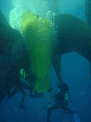 Wärtsilä supports the underwater repair and maintenance of a broad portfolio of seal products