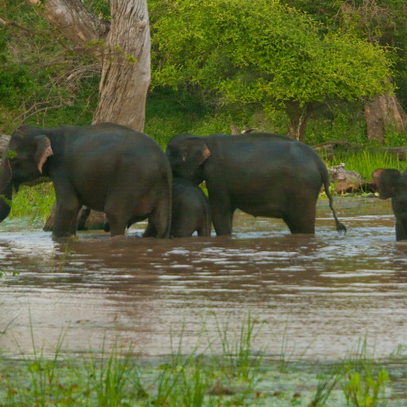 GSI Ferry Final Render