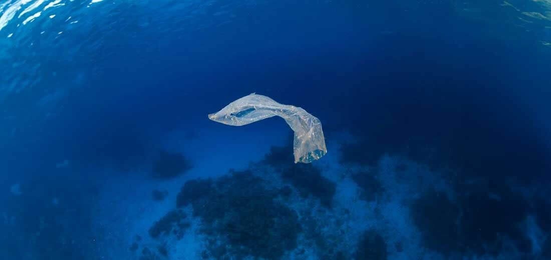 Carnival partner in sustainability pilot project