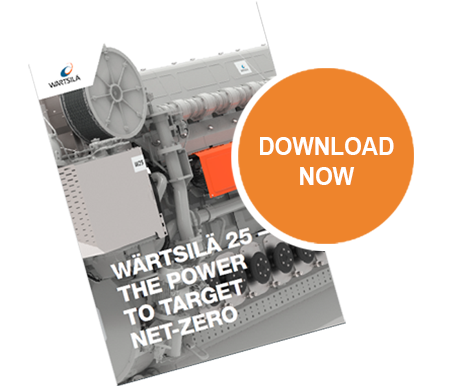 Wärtsilä-25-brochure