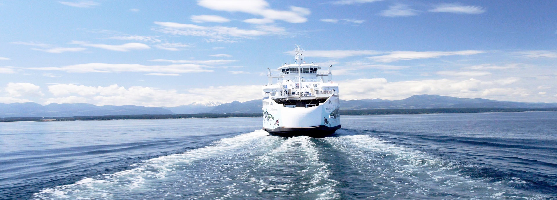 Profitable, decarbonised ferry operations
