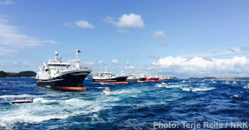Fishing-vessels-image-lift-photo-terje-reite