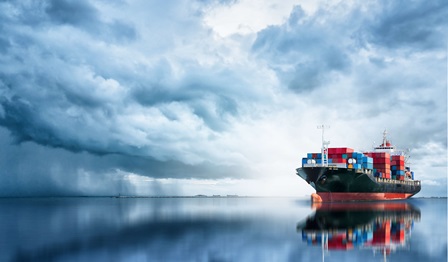 Wärtsilä Voyage