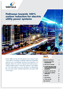 Download Business White Paper - Pathways to 100% renewables