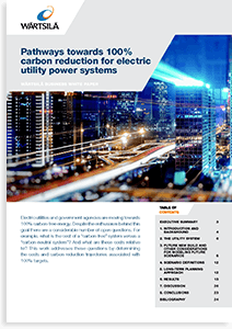 Pathways towards 100% renewables