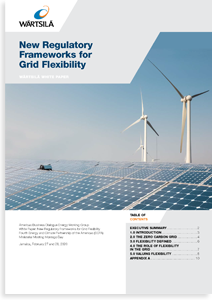 New Regulatory Frameworks for Grid Flexibility