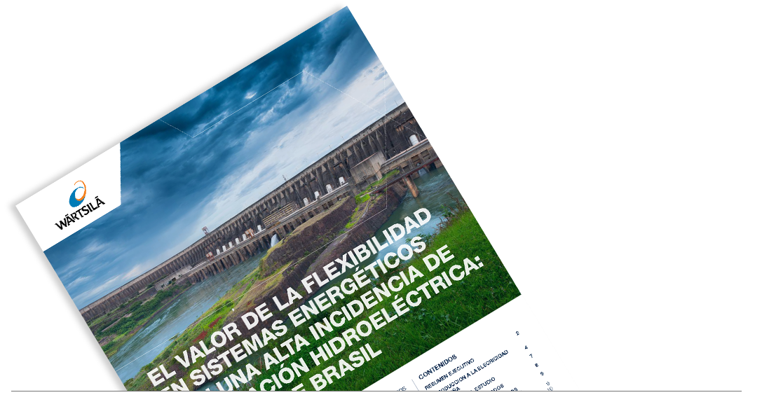 El valor de la flexibilidad en sistemas energéticos con una alta incidencia de generación hidroeléctrica: el caso de Brasil