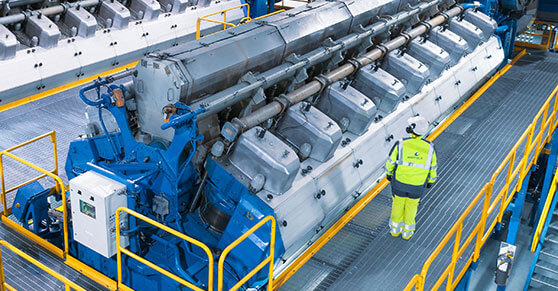 flexible-internal-combustion-engine