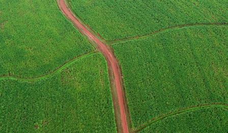 Energy transition pathways towards a low-cost 100% renewable power system across India by 2050