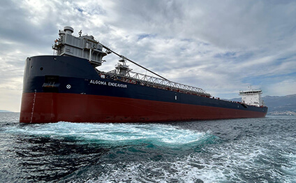 Bulk Carrier