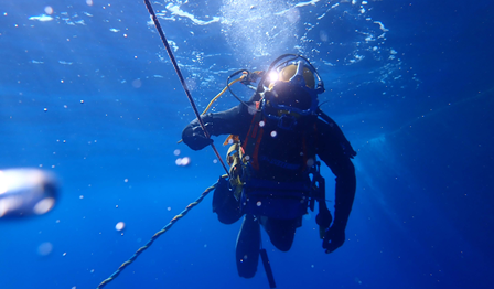 Diver