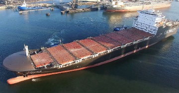 el-coqui-and-taino-thumbnail