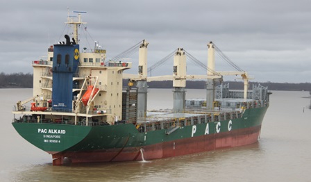 Pac-alkaid-Wärtsilä-Reference-case