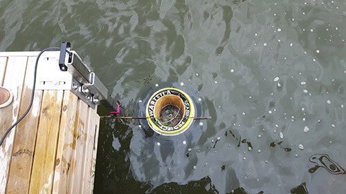 Seabin Vaasa 1